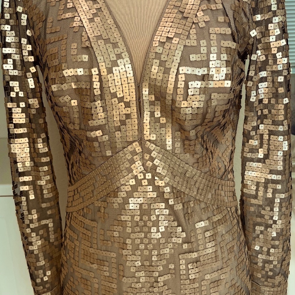 Tadashi Shoji Luxury occasional Dress